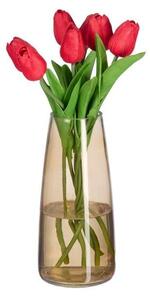 Vas i glas