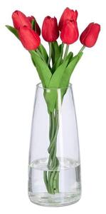 Vas i glas