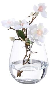 Blomvas i glas