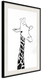 Inramad Poster / Tavla - Black and White Giraffe - 20x30 Svart ram