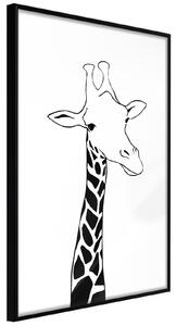 Inramad Poster / Tavla - Black and White Giraffe - 30x45 Guldram