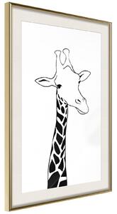 Inramad Poster / Tavla - Black and White Giraffe - 20x30 Guldram med passepartout