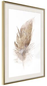 Inramad Poster / Tavla - Lost Feather (Beige) - 20x30 Guldram med passepartout