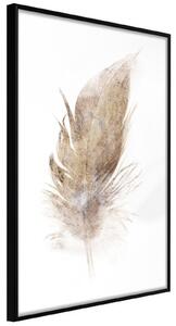 Inramad Poster / Tavla - Lost Feather (Beige) - 20x30 Svart ram med passepartout