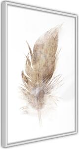 Inramad Poster / Tavla - Lost Feather (Beige) - 20x30 Svart ram med passepartout