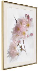 Inramad Poster / Tavla - Scent of Spring - 20x30 Guldram med passepartout