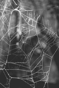 Fotografi Monochrome Web, Gary Rundle, (26.7 x 40 cm)