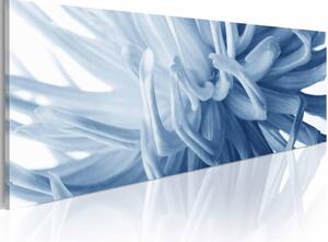 ARTGEIST Flover petals bild - blå/vit canvastavla