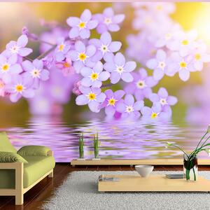 ARTGEIST fototapet - Violet Petals In Bloom, violetta blommor