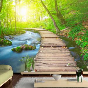 ARTGEIST fototapet - Green forest, bro i vacker skog