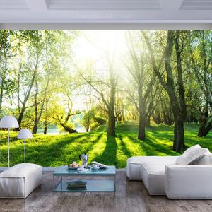 ARTGEIST Fototapet - Sunny May Day, solig dag i skogen
