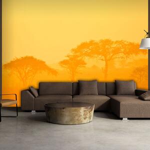 ARTGEIST Fototapet - Orange savanna
