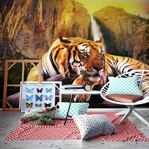 ARTGEIST Fototapet av vacker tiger i naturen - Flera storlekar