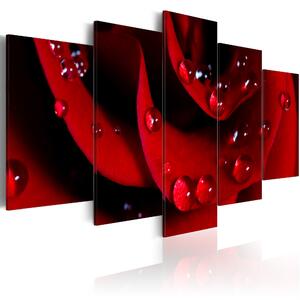 ARTGEIST Rose with dew - Bild på röd ros med droppar tryckt på duk - Flera storlekar 200x100