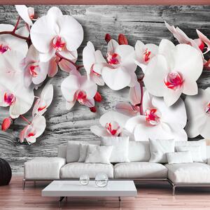 ARTGEIST -Fototapet med vita orkidéer på silverträbakgrund - Flera storlekar 400x280