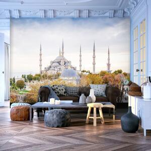 ARTGEIST - Fototapet av Hagia Sophia-moskén i Istanbul - Flera storlekar 300x210