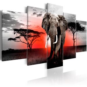 ARTGEIST bild tryckt på duk - Lonely Elephant, 5-delad 200x100