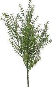 Thlapsi konstblomma