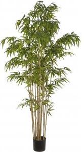 Bambu konstväxt höjd 210 cm