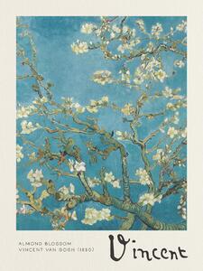 Konsttryck Almond Blossom - Vincent van Gogh, (30 x 40 cm)