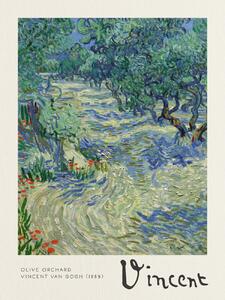 Konsttryck Olive Orchard - Vincent van Gogh, (30 x 40 cm)