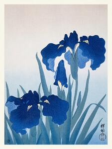 Konsttryck Blue Iris Flowers (Japandi Vintage) - Ohara Koson, (30 x 40 cm)