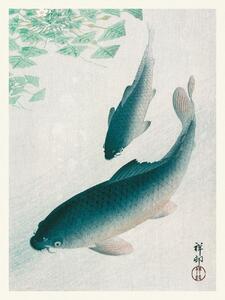 Konsttryck Two Carp Fish (Japandi Vintage) - Ohara Koson, (30 x 40 cm)