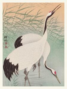 Konsttryck Two Cranes (Japandi Vintge) - Ohara Koson, (30 x 40 cm)
