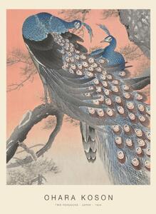 Konsttryck Two Peacocks (Special Edition) - Ohara Koson copy, (30 x 40 cm)
