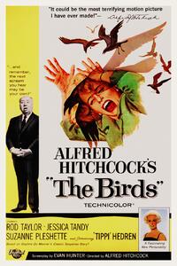Konsttryck The Birds / Alfred Hitchcock / Tippi Hedren (Retro Movie), (26.7 x 40 cm)