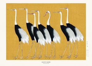 Studio Collection - Bildreproduktion Japanese Red Crown Crane, (40 x 30 cm)