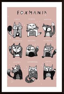 Schulze - Foxmania 1 Poster