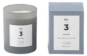 ILLUME X BLOOMINGVILLE NO. 3 - Santal Fikon doftljus, blått, naturligt vax