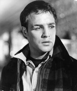 Fotografi Marlon Brando In 'On The Waterfront', Archive Photos