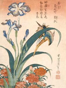 Hokusai, Katsushika - Bildreproduktion Kingfisher, (30 x 40 cm)