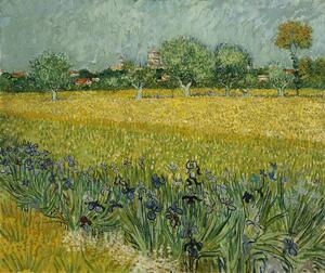 Bildreproduktion Field with Flowers near Arles, 1888, Vincent van Gogh