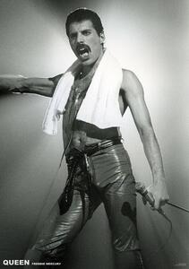 Poster, Affisch Queen (Freddie Mercury) - Live On Stage