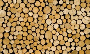 Raw wood - Fototapet træ