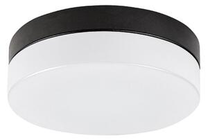 Rabalux 75026-LED taklampa för badrum GAELO LED/18W/230V diameter 28 cm svart