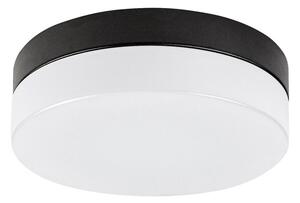 Rabalux 75025-LED taklampa för badrum GAELO LED/15W/230V diameter 23 cm svart