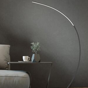 Design golvlampa svart inkl. LED-dimbar - Dina