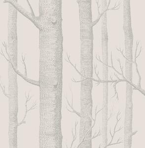 Woods - Parchment