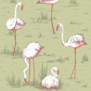 Flamingos - Olive