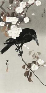 Konsttryck Crow And Cherry Blossom, Ohara Koson, (20 x 40 cm)