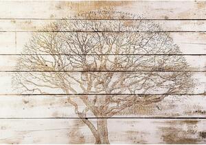 Fototapet - Tree on Boards - Standard 400x280