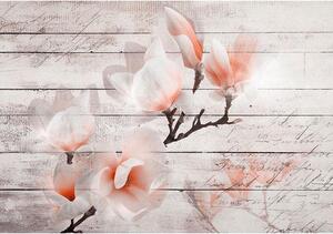 Fototapet - Subtlety of the Magnolia - Standard 350x245