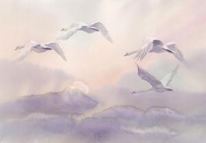 Fototapet - Flying Swans - Standard 350x245