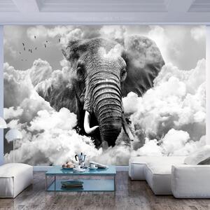 Fototapet - Elephant in the Clouds