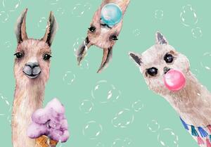 Fototapet - Crazy Llamas - Standard 400x280