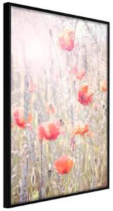 Inramad Poster / Tavla - Poppies - 30x45 Guldram med passepartout